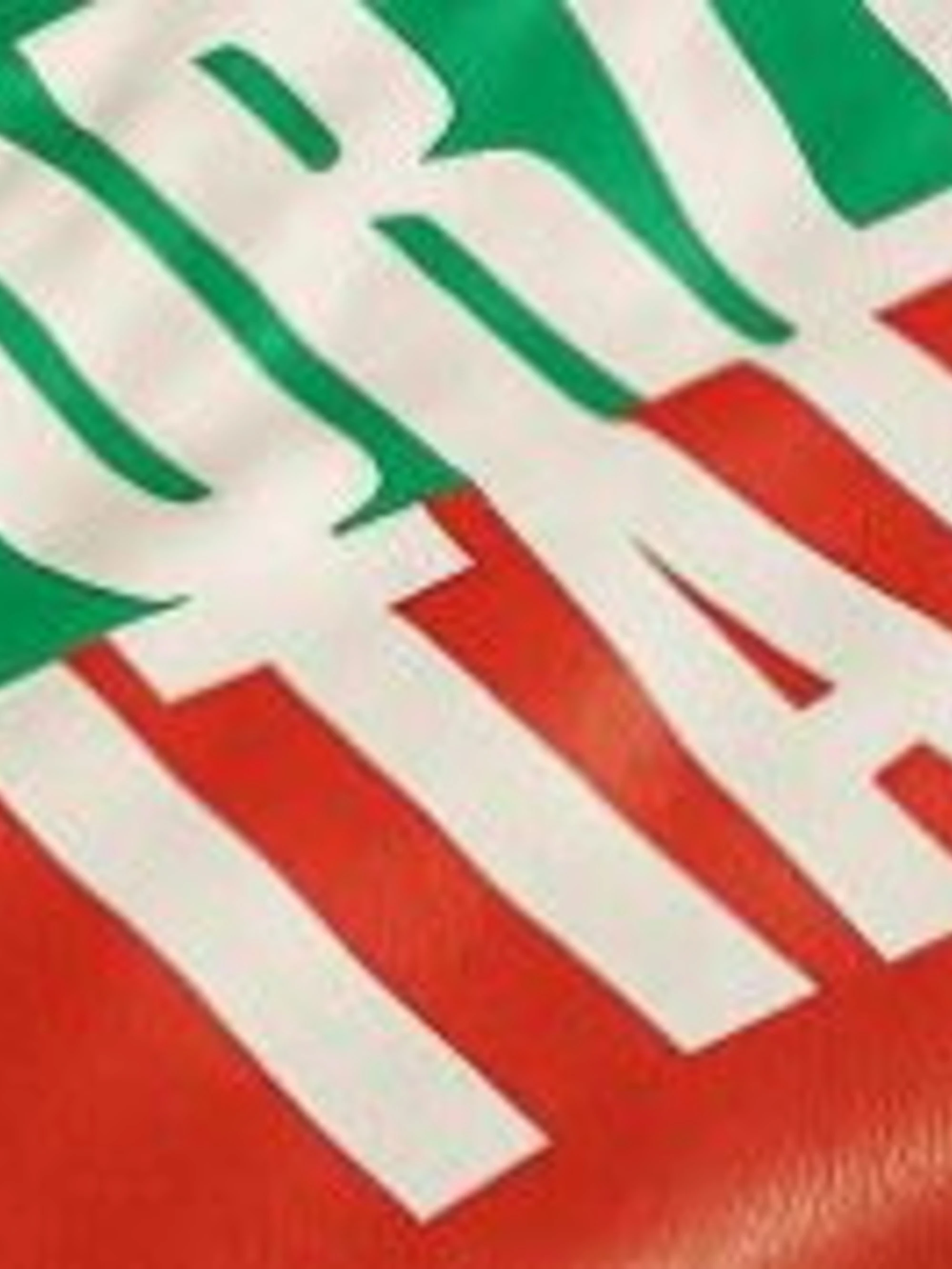 Referendum, la foto di Forza Italia che fa impazzire la sinistra