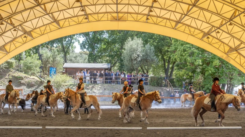San Raffaele Viterbo celebra 40 anni di riabilitazione equestre: una storia di cura, relazione e inclusione