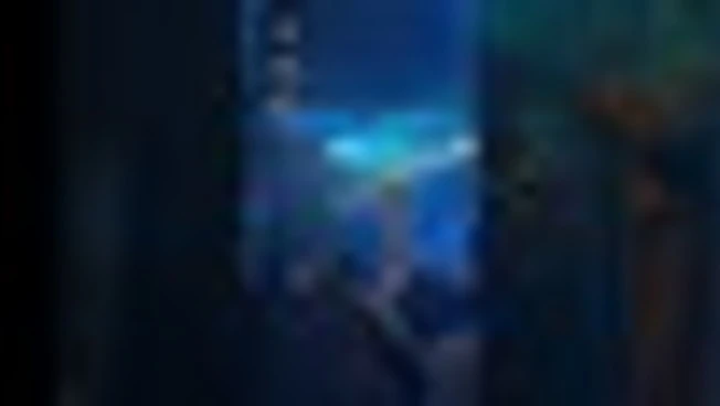 Continua il successo di TonyPitony, disco d'oro, Concertony e tour