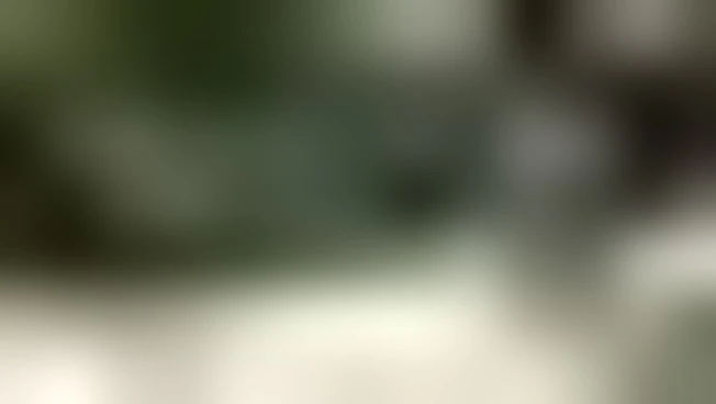 La visita di moglie e figlio a Bolsonaro incarcerato