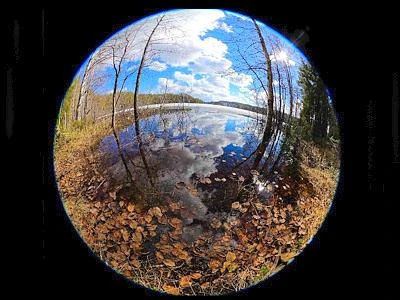 Ogni anno in Italia con il cibo si sprecano oltre 1.000 mln di metri cubi di acqua