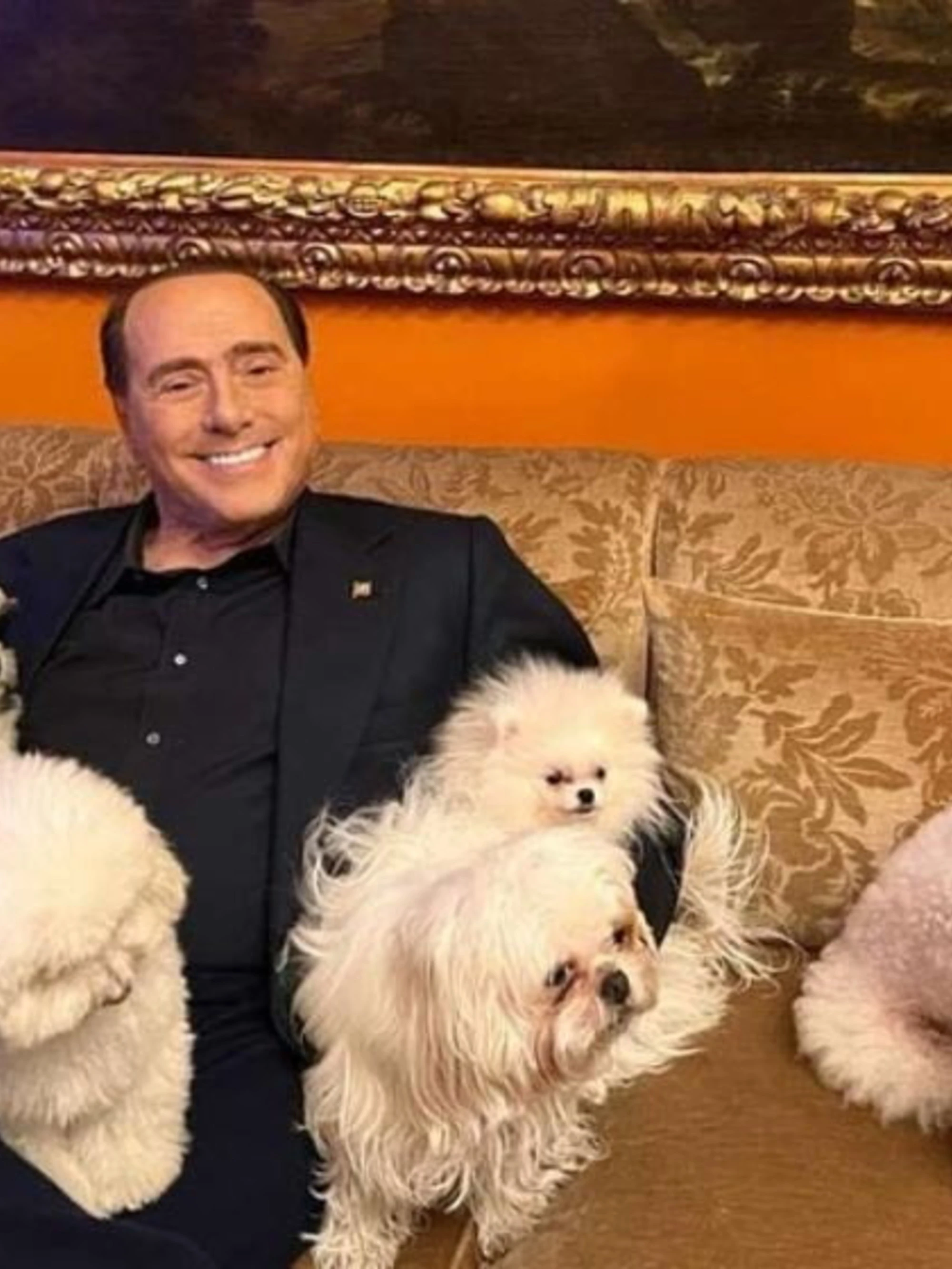 Fascina celebra su social giornata del cane: amarli avvicina a Dio