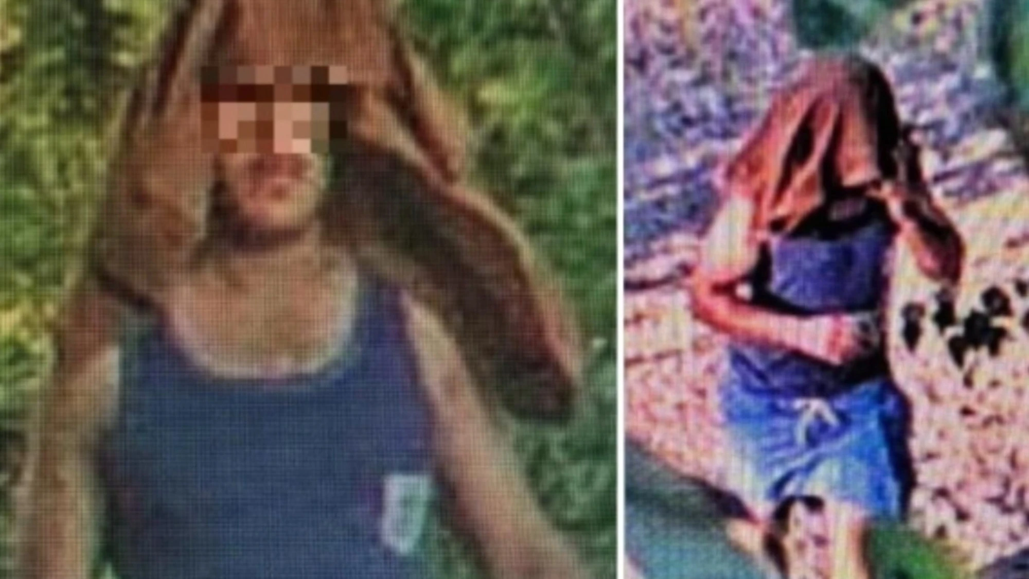Milano, ecco chi è l'egiziano che ha stuprato una ragazza al parco: cosa ha fatto dopo l'orrore