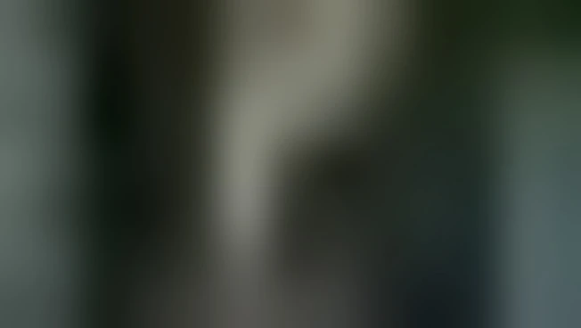 https://media.liberoquotidiano.it/d3tKtwX5AT6j_iBlIqJlkh2jwm6QXvBq--F010f2oLQ/width:800/quality:90/aW1hZ2VzLzIwMjUvMTAvMDkvMTQzNjIyNjYxLTYxZmM3NDM1LWRjYTEtNDU1MC1iODMxLTZhYmZjNzkwNDFiOS5qcGc.webp