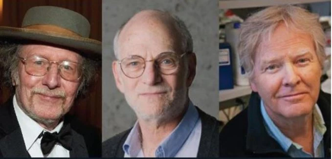 Nobel per la medicina 2017 a tre genetisti americani: hanno scoperto l'orologio biologico