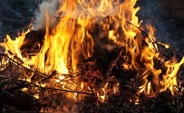 "La strega nel bosco": il caso che scuote l'Italia