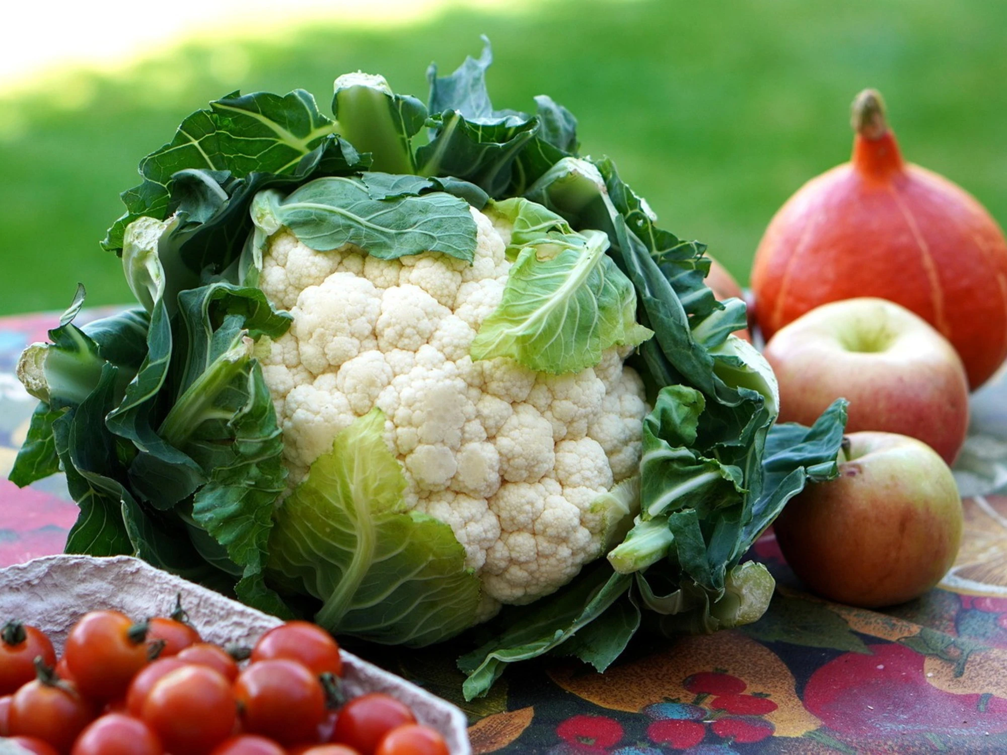 Le regole a tavola come prevenzione per il tumore al colon