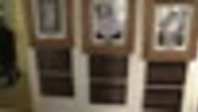 Su nuove targhe alla Casa Bianca attacchi di Trump a Biden e Obama