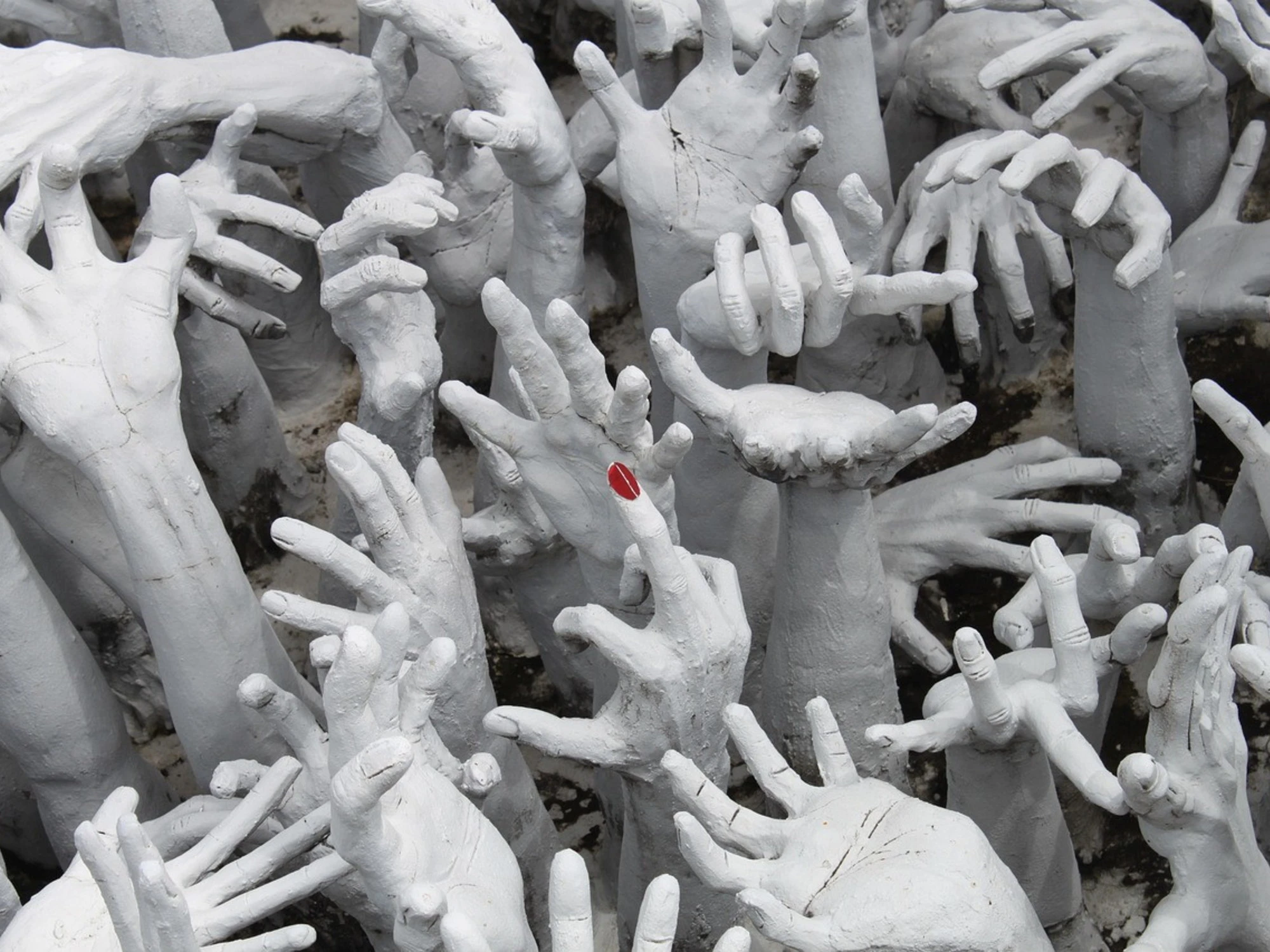 L’involuzione lessicale del femminismo debole