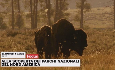 https://media.liberoquotidiano.it/dVPC6ke0VdnVpm-TYRQzKCXpps_TPYpzNd-S9MbgpKs/width:800/quality:90/aW1hZ2VzLzIwMjUvMDkvMDEvMTIxMDQ0NDQyLWQ4ZDg0ZjkzLWIwNTMtNGFiNi04ZDdjLTk4NDYyZWIyZGJiZS5qcGc.webp