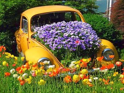 Automobile nuova o usata non importa, basta che sia economica e green