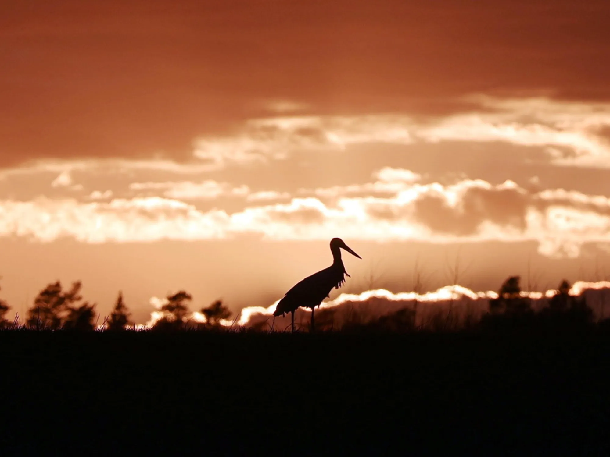 Leggi l'articolo: Meteo, addio anticiclone: come cambia il tempo da lunedì