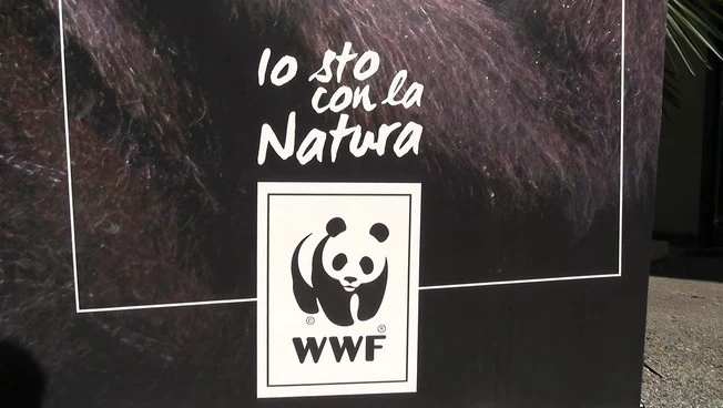 Sostenibilità, al via la quinta edizione di "For Nature, For Us”