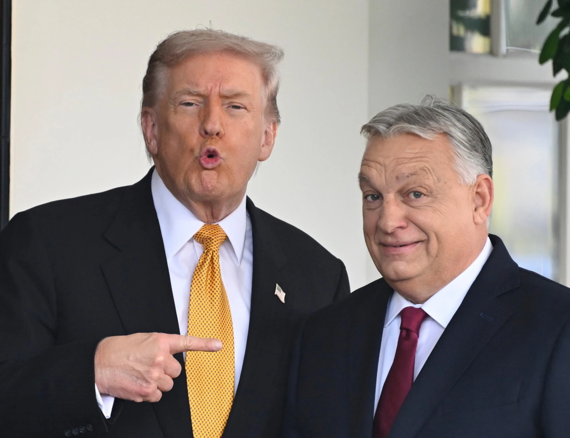 Donald Trump accoglie Orban: "È un grande leader"