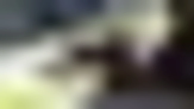 Uffici postali, superate le 150mila richieste passaporto