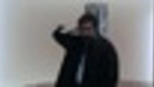 Violenza donne, Tommaso Paradiso: fondamentale ruolo della scuola