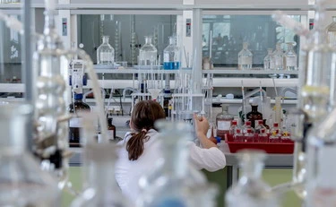 Cancro, lo scudo che ferma la crescita delle cellule tumorali