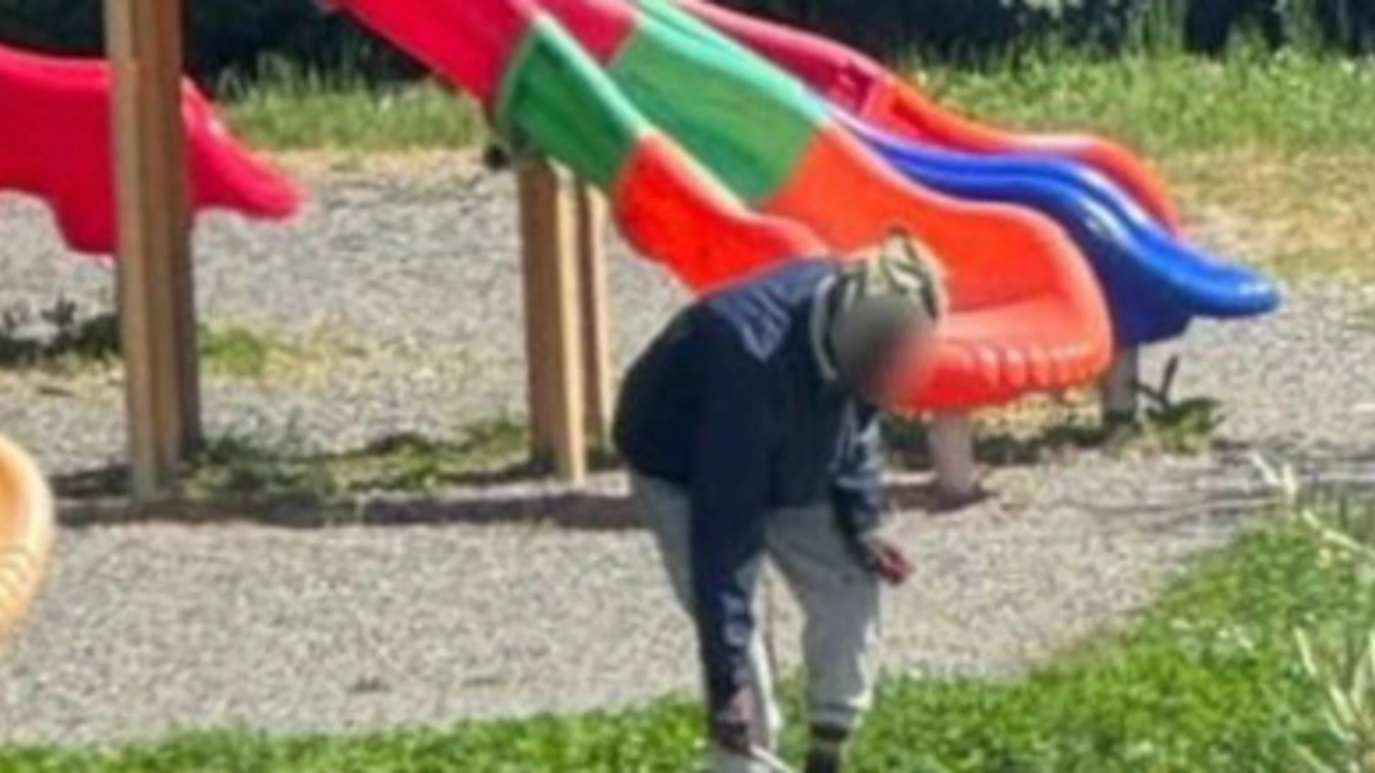 Sarzana, il nigeriano uccide il gatto al parco e lo arrostisce: come può finire