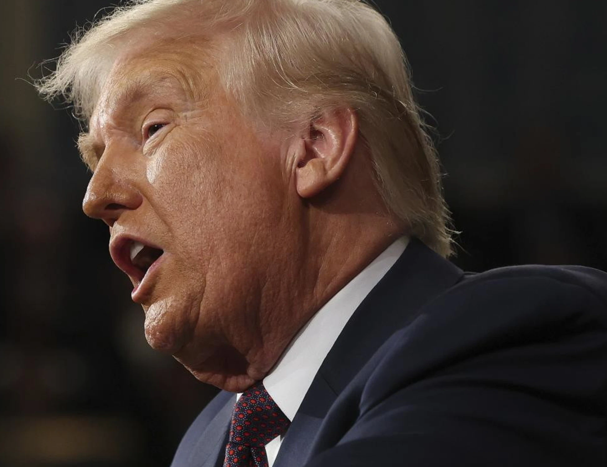 Donald Trump, per la sinistra imita il modello Albania