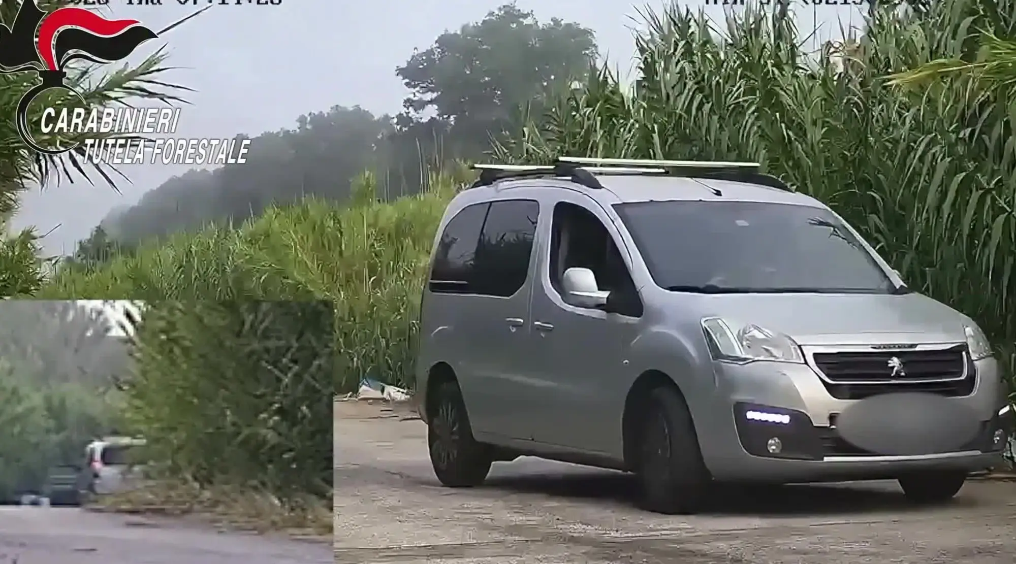 Giugliano in Campania, scarica un cane di pochi mesi insieme ai rifiuti. I carabinieri salvano il cucciolo