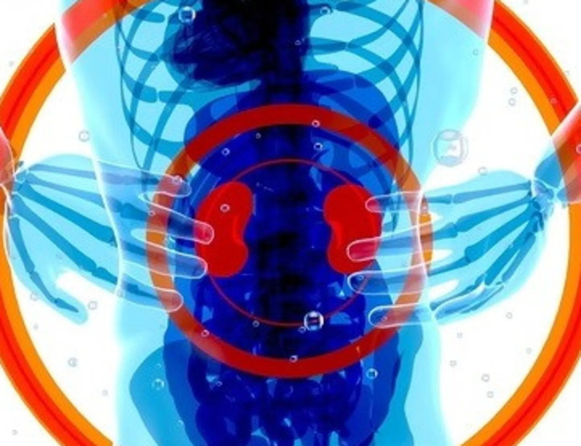 Reni, ecco come salvarli: i due punti fondamentali