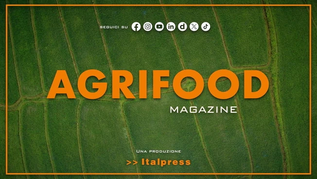 Agrifood Magazine - 15/4/2026