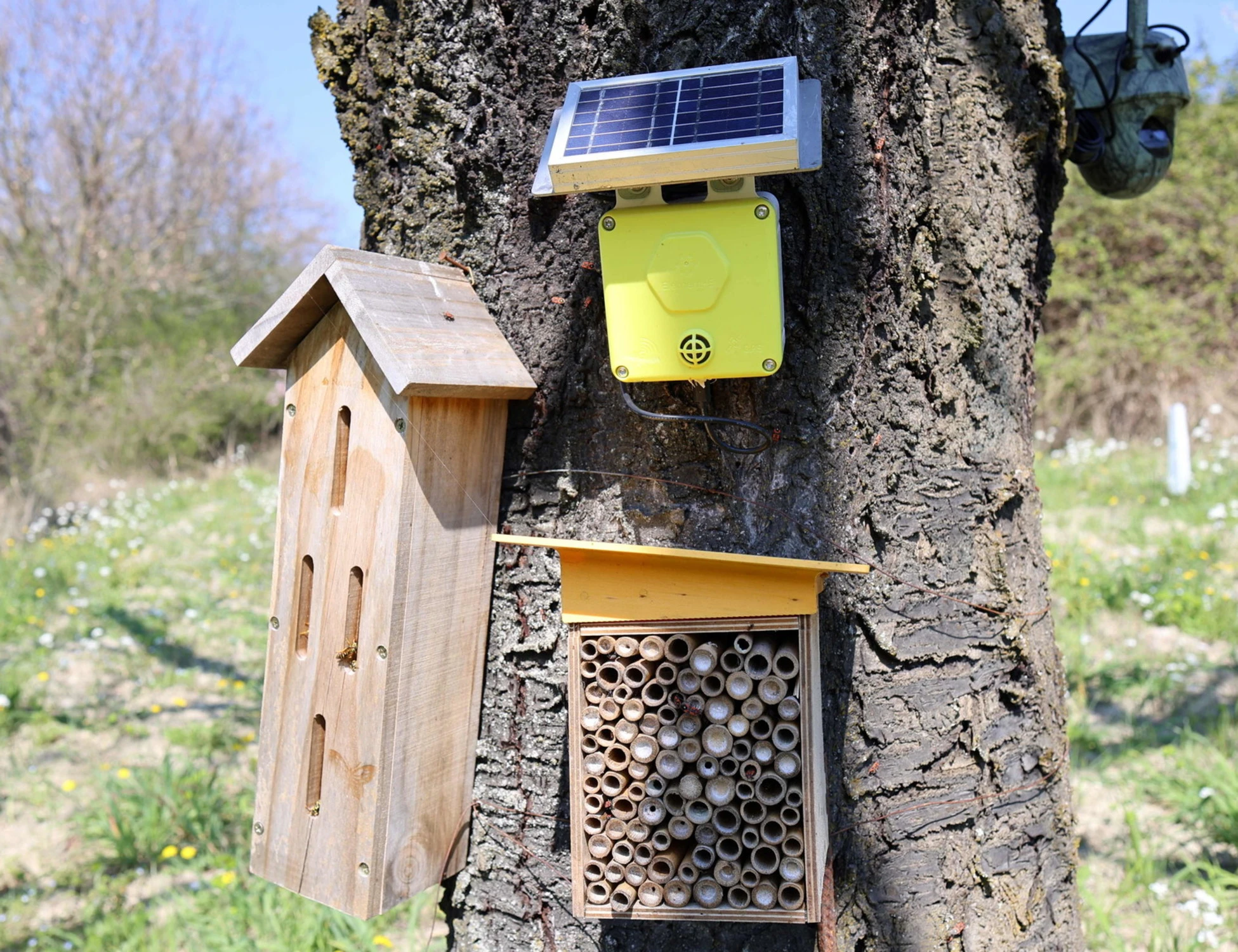 L'Oasi della Biodiversità di Pavia: 3Bee e Fondazione LGH presentano un nuovo progetto concreto di rigenerazione del territorio