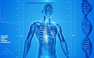 Inizio della vita: la scoperta scientifica che svela i segreti del Dna