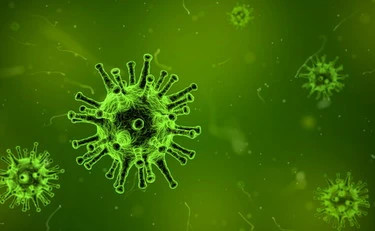 Influenza il virus potrebbe arrivare prima del previsto: la mutazione sotto osservazione