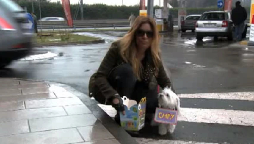 La Lucarelli sfotte Monti: trova il cane Empu all'Autogrill e lo adotta