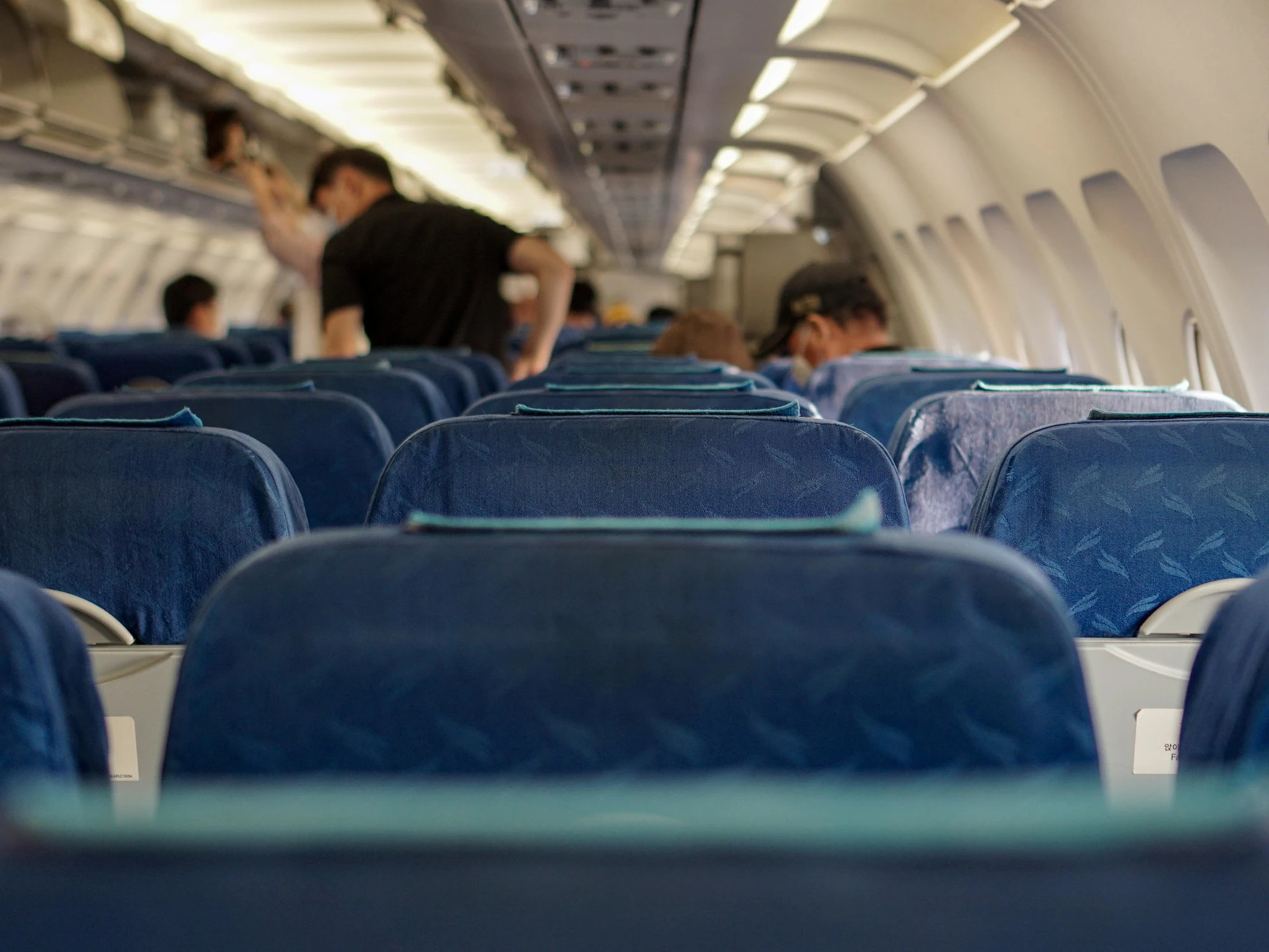Palermo, atterra l'aereo e scoppia il panico: "C'è un serpente a bordo"