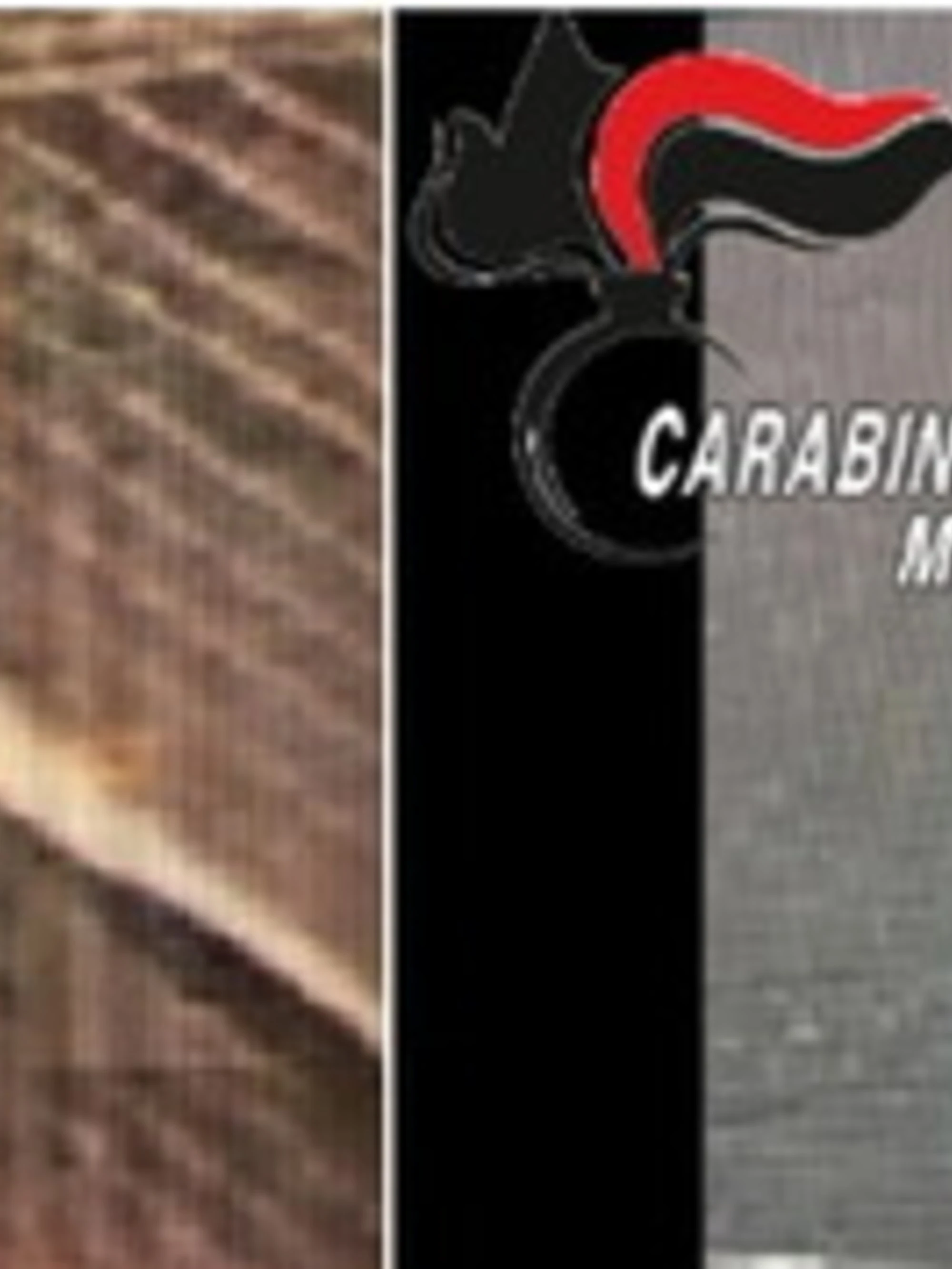 Vincenzo Lanni, il delirio prima delle coltellate: "Perché voglio uccidere donne"