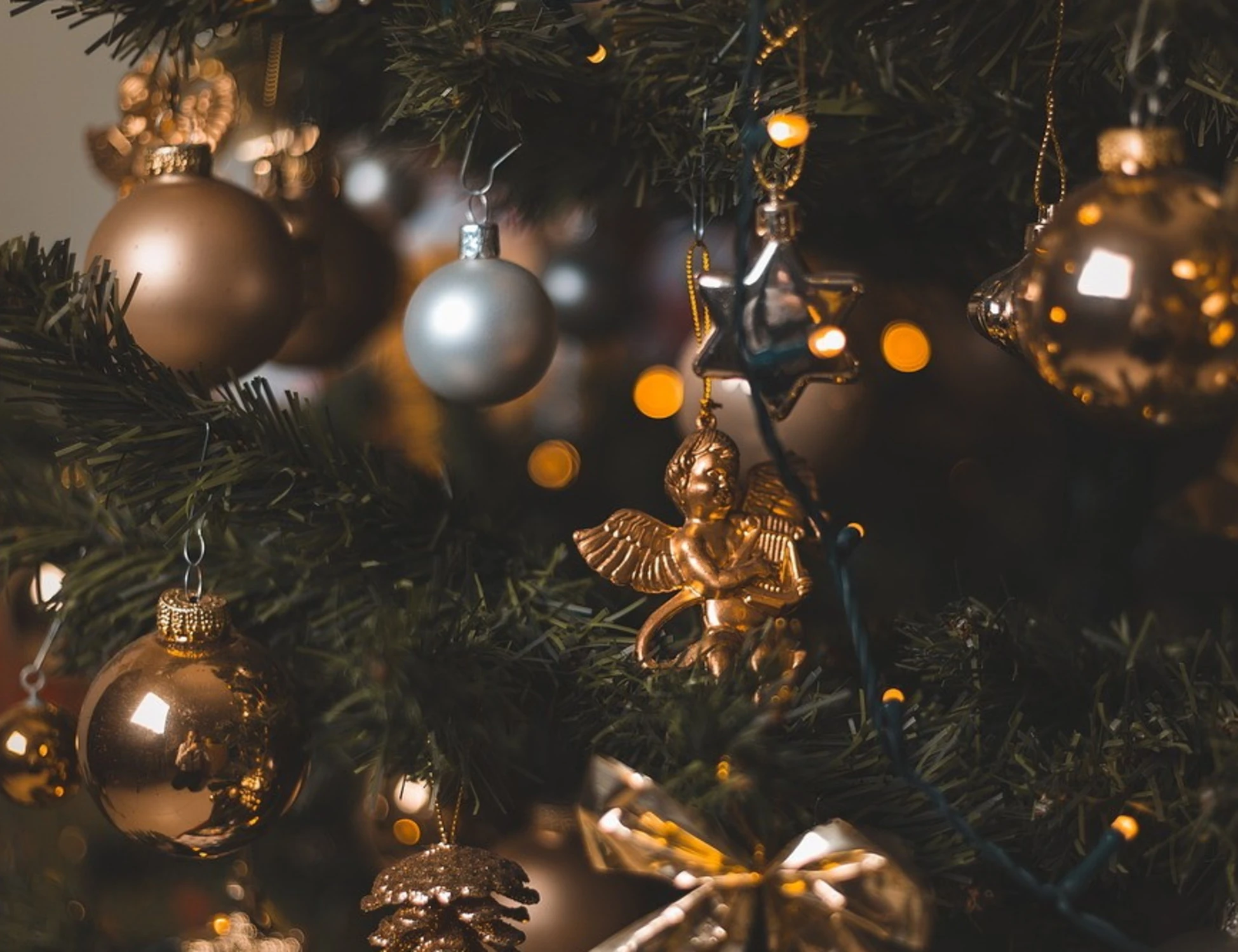 Albero di Natale o presepe? Ecco chi vince in rete