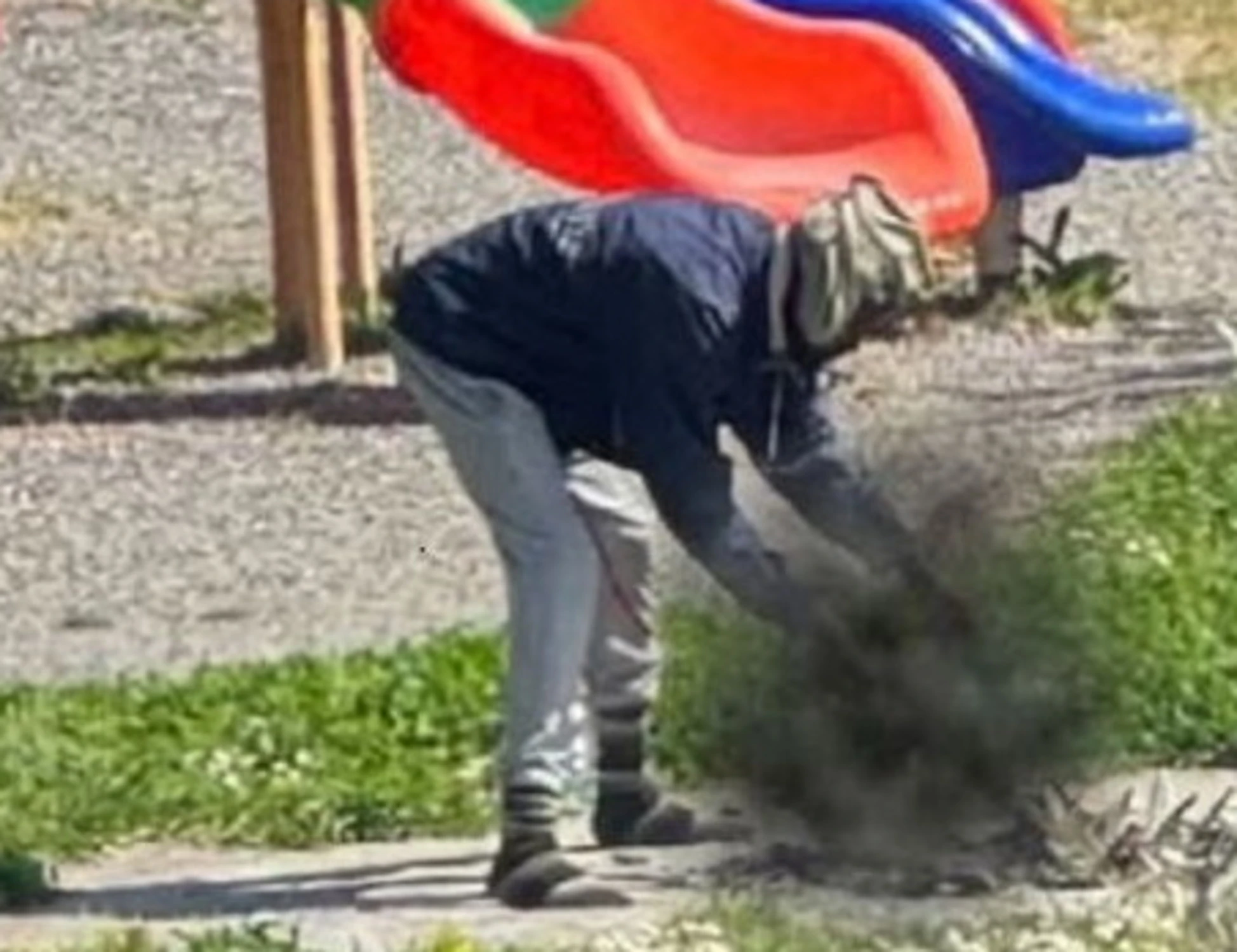 Sarzana, nigeriano arrostisce un gatto per mangiarlo: immagini atroci