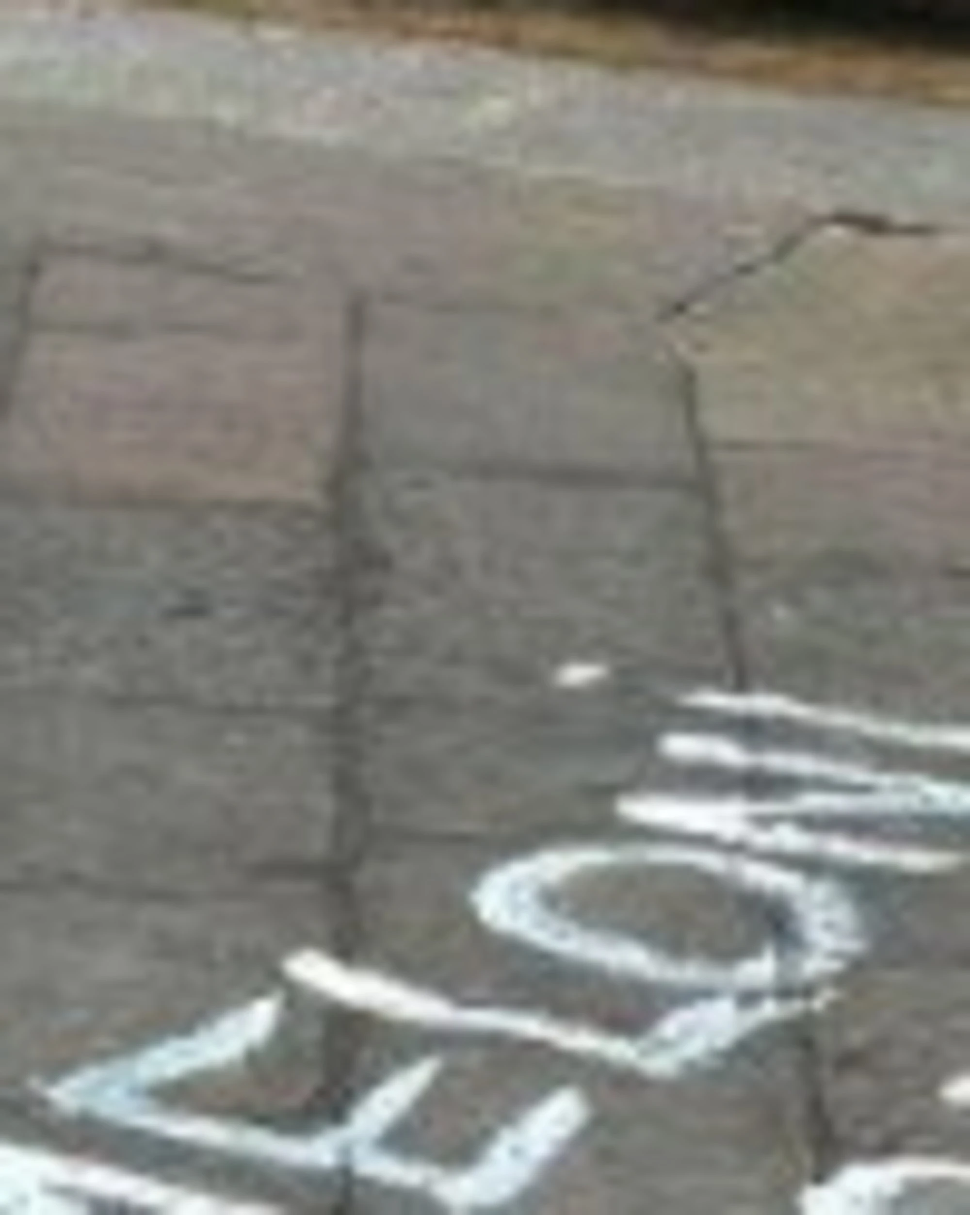 Torino, scritte-choc contro Giorgia Meloni. FdI: "La città ostaggio dei centri sociali"