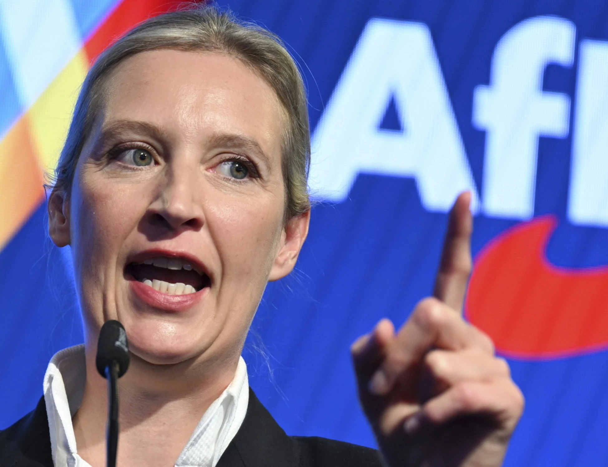 Il sondaggio: &quot;Afd al 39%&quot;, una valanga sulla Germania