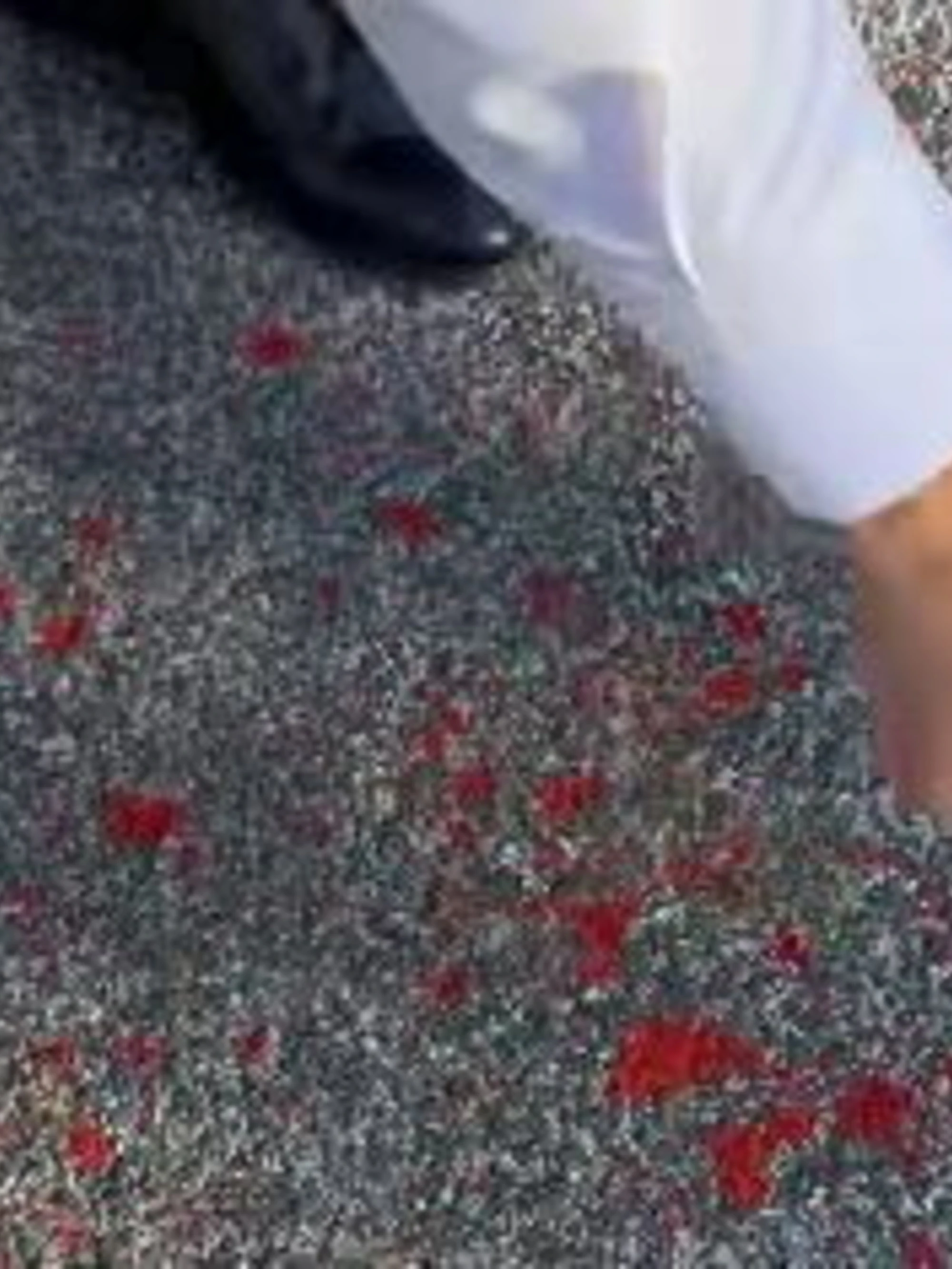 Salvini incenerisce i teppisti: "Questo è sangue? No, ecco cos'è"