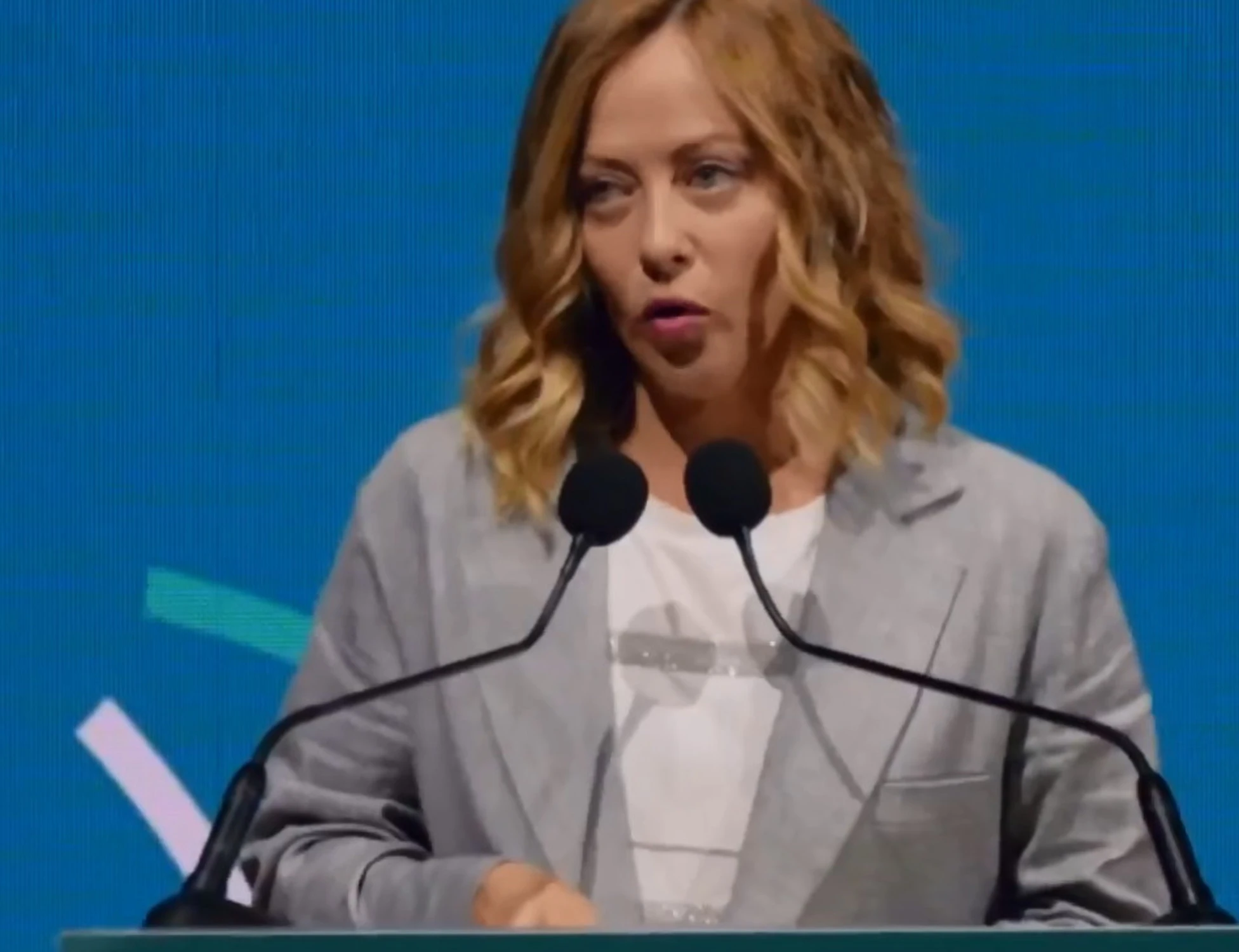 Giorgia Meloni, ovazione dei commercialisti. E lei: "Mi imbarazzo"