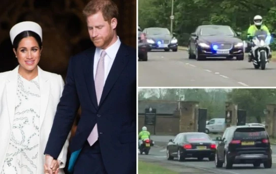 Meghan Markle, il pazzesco indizio che rivela il sesso del royal baby: mistero svelato