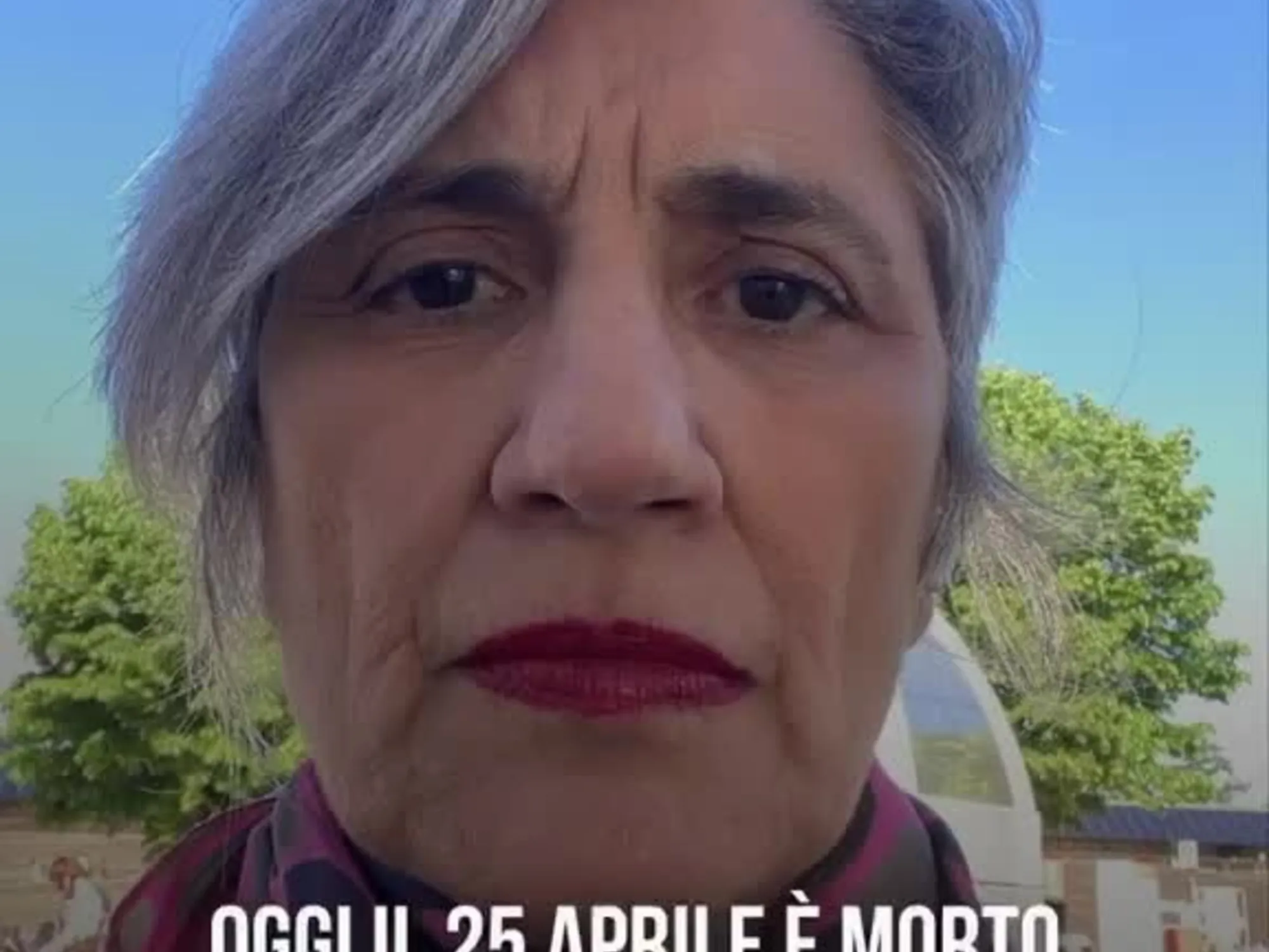 Leggi l'articolo: 'Il 25 aprile morto oggi': la Concia seppellisce la sinistra