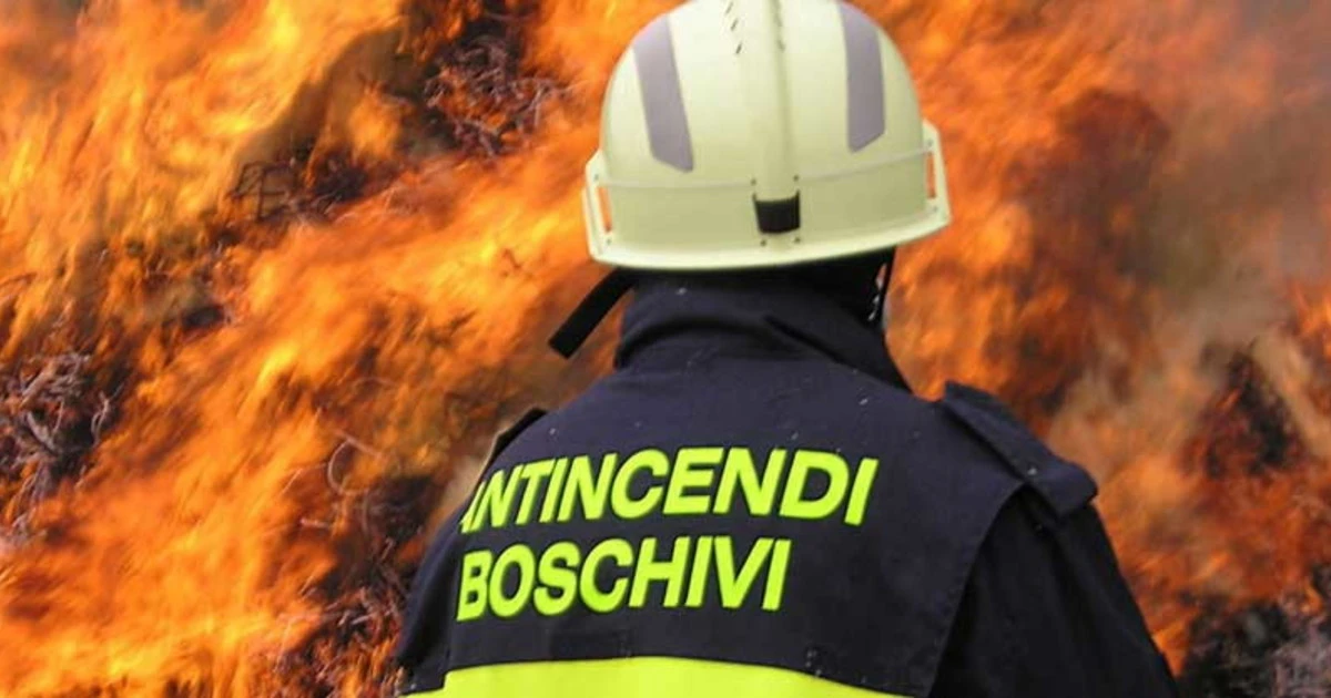 Incendi, da gennaio bruciati boschi e foreste per 1.552,72 chilometri quadrati: Italia prima nella classifica europea