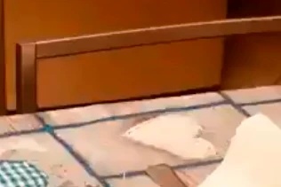 Sardine, Matteo Salvini scatenato di buon mattino: "Guardate chi vi saluta", contestatori azzerati