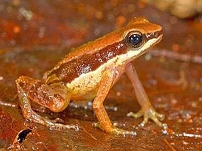 Tempo di bilanci anche per l'ambiente, tre gli eventi simbolo del 2013