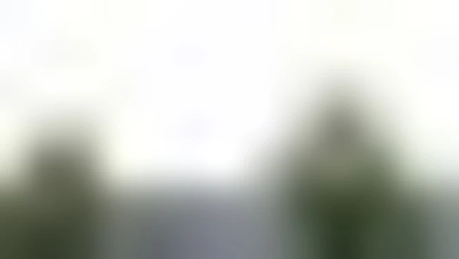 https://media.liberoquotidiano.it/eOT0CoGIkgKIDS96OmgWxuDvirzRR6e_9FDD36yLKec/width:800/quality:90/aW1hZ2VzLzIwMjYvMTAvMTIvMDcwMzQxNTYxLTM2ZTA0YWNiLTRlOGEtNDIxMS1iN2EwLWRlNWViZGJlZTJmNy5qcGc.webp