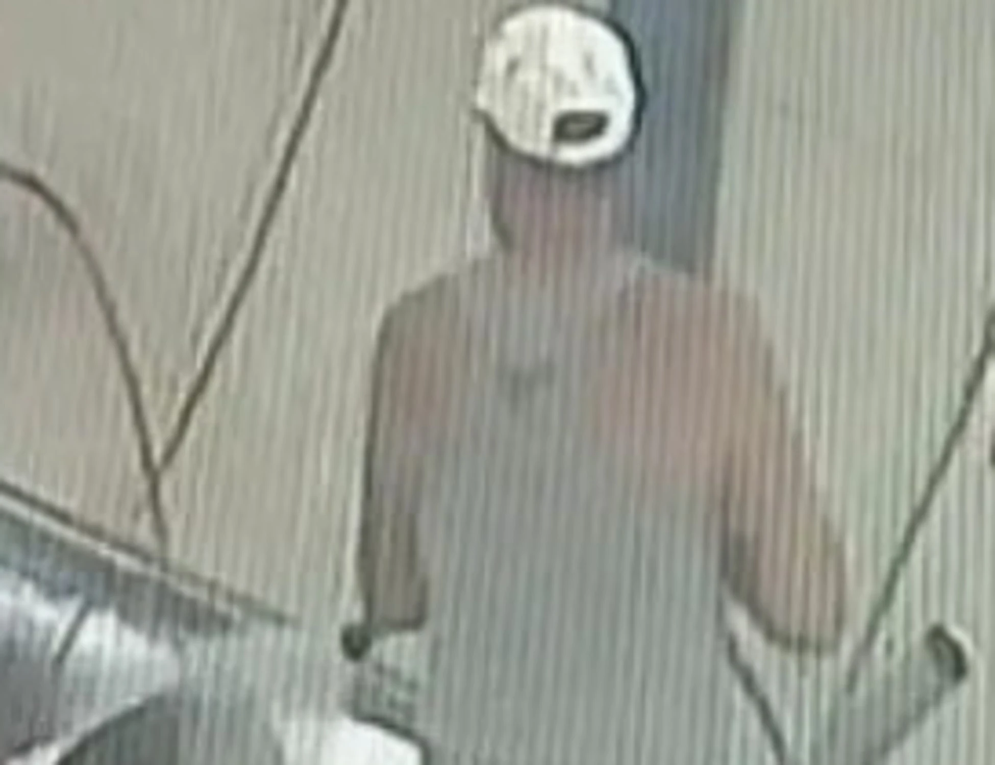 Biella, come riduce il suo cane: Italia indignata