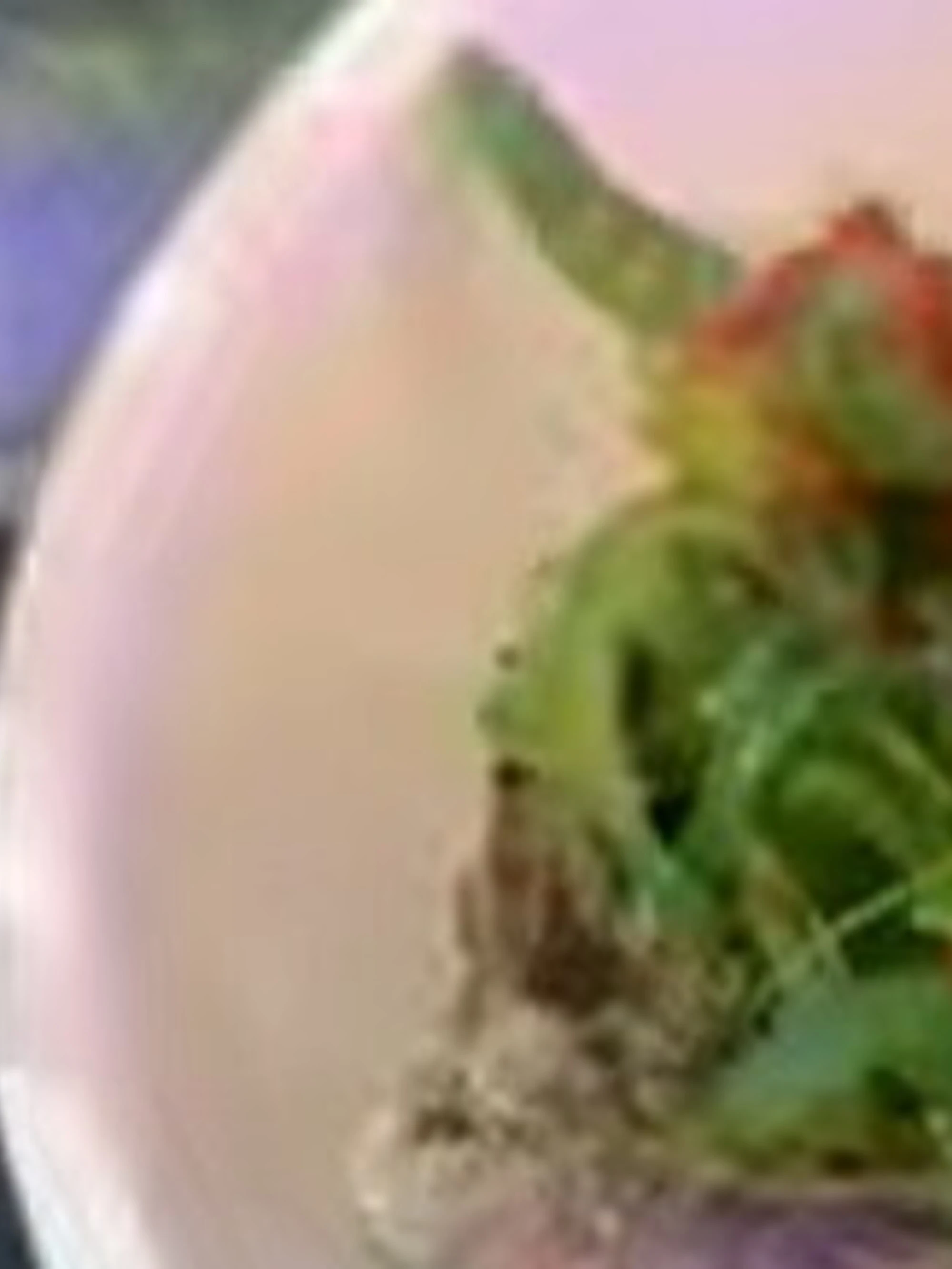 Perugia, verme nell'ostrica: il video (disgustoso)