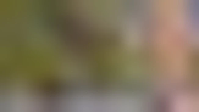 https://media.liberoquotidiano.it/eXs5J7eZHcFulAwV3sdCIGgnVj9qgy4gAdVggkjsLDg/width:800/quality:90/aW1hZ2VzLzIwMjUvMDkvMTcvMTAxMzM5ODM2LTJhM2Q2YzcyLWNiZGQtNDUxMC05ZGU4LWFiNGYzZDVmMTNlYS5qcGc.webp