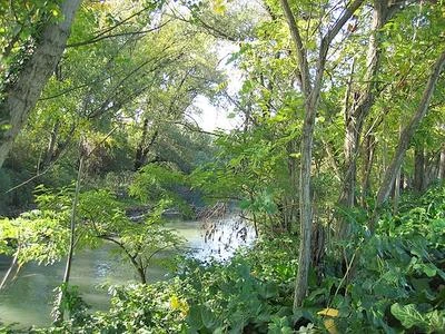 Nei parchi italiani oltre 756mila imprese e 82mila posti di lavoro 'green'