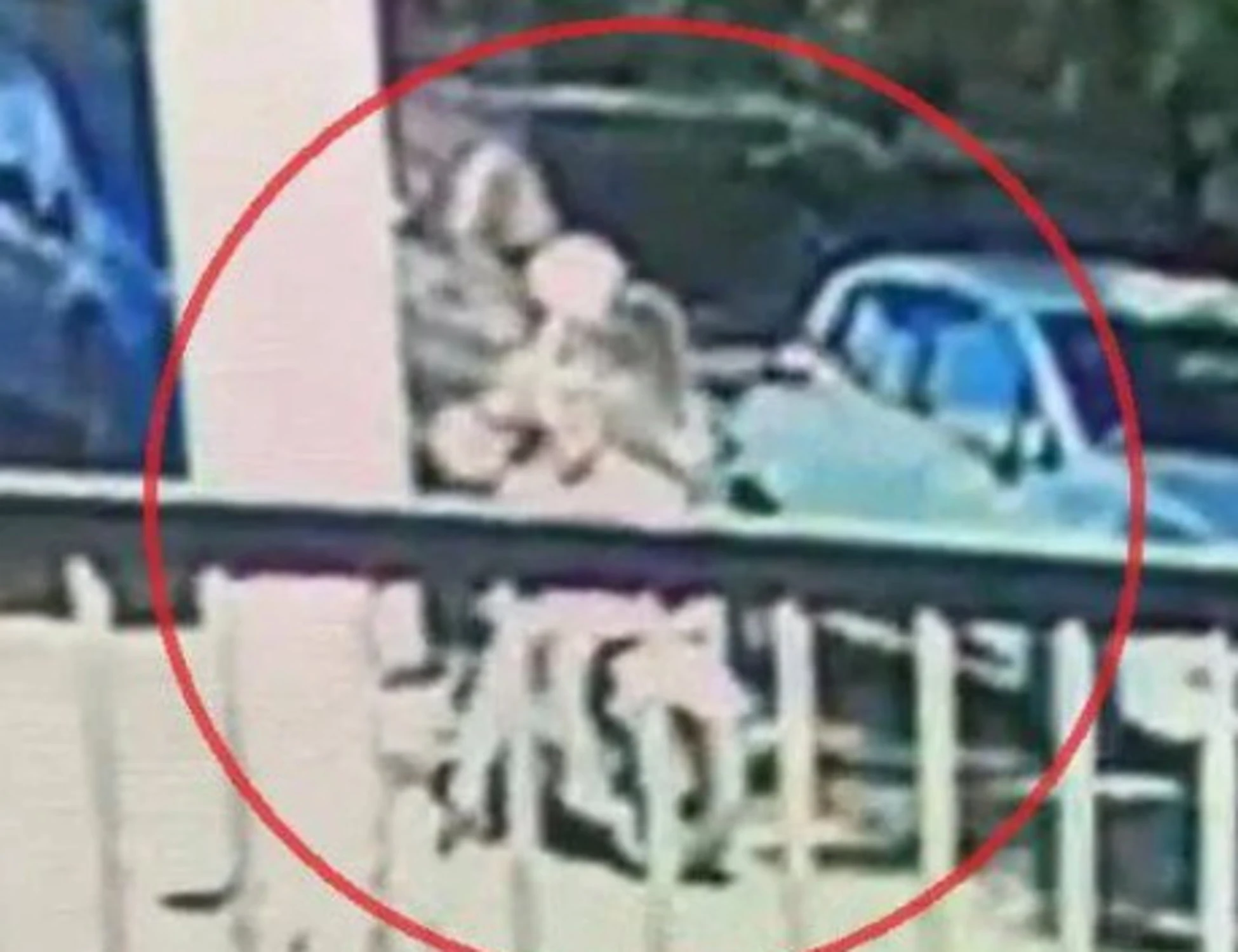 Eitan Bondì e gli spari all'Anpi, "pistola ad aria compressa non idonea a uccidere"