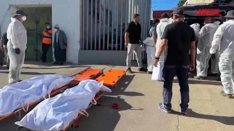 https://media.liberoquotidiano.it/edC2p74QFADLm7tFaLfC1lrTgwFMvejTINwlcw5chkM/width:800/quality:90/aW1hZ2VzLzIwMjYvMDgvMjIvMDcxNDIyNzQ5LTIwOGE3ZGVjLTdlNzMtNDI3Mi1hNDZkLTQzMzhiMmZmNDJmZi5qcGc.webp